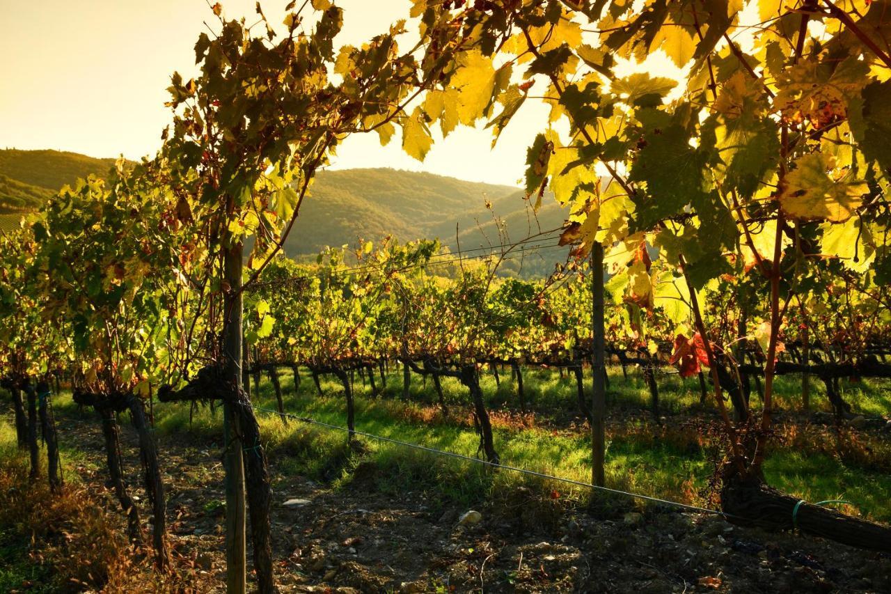 Stageroom03 - Chianti Castellina in Chianti Exterior photo